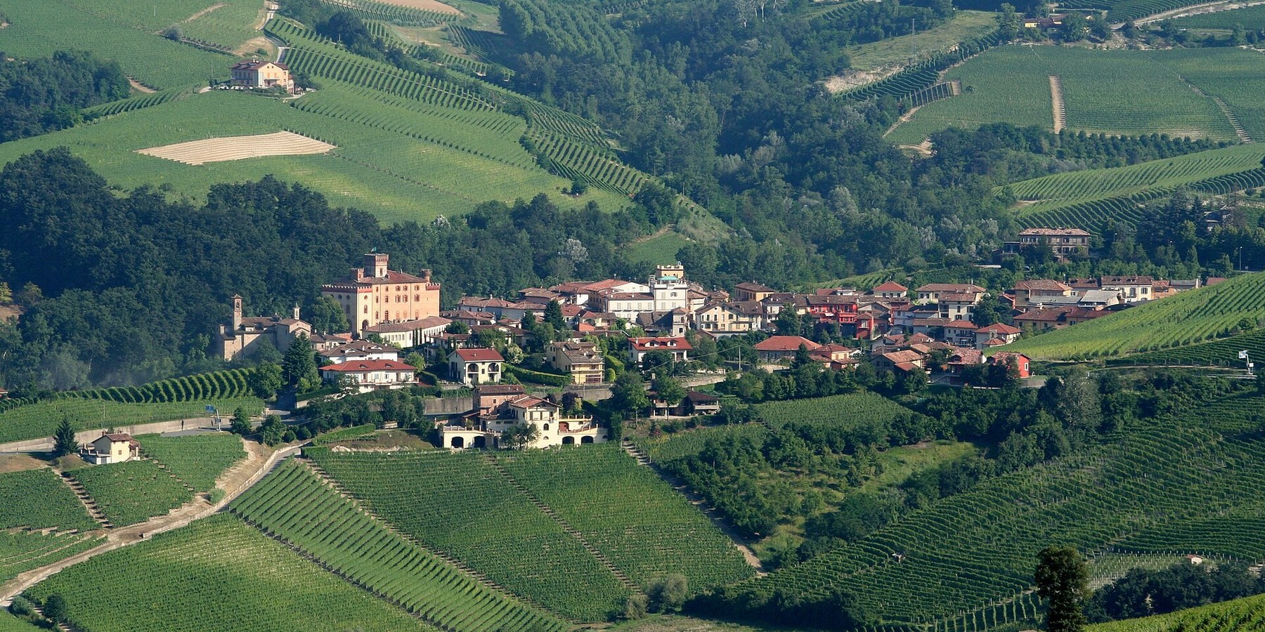Barolo village and vineyards